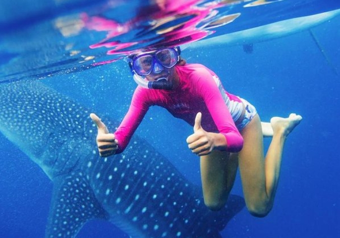 Oslob Whale shark escort（8 hours 1800 ₱ ）